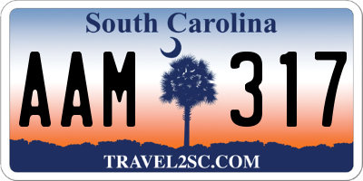 SC license plate AAM317