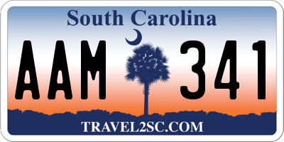 SC license plate AAM341