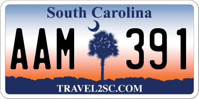 SC license plate AAM391