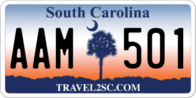 SC license plate AAM501