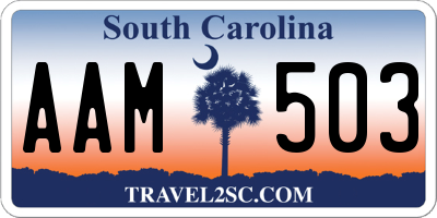 SC license plate AAM503