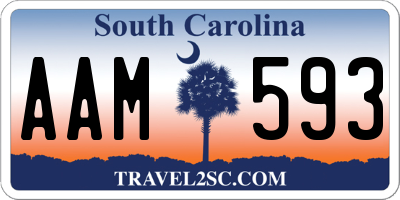 SC license plate AAM593