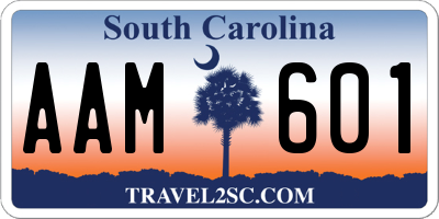 SC license plate AAM601