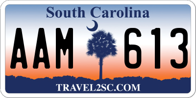 SC license plate AAM613