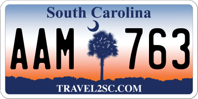 SC license plate AAM763