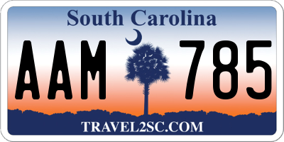 SC license plate AAM785