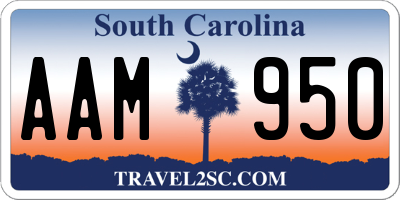 SC license plate AAM950