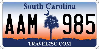 SC license plate AAM985