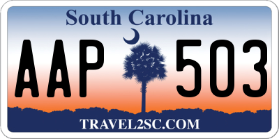 SC license plate AAP503