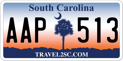 SC license plate AAP513