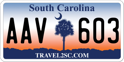 SC license plate AAV603