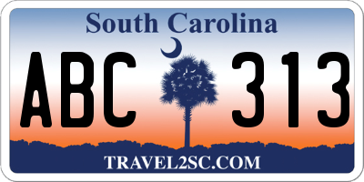 SC license plate ABC313