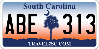 SC license plate ABE313