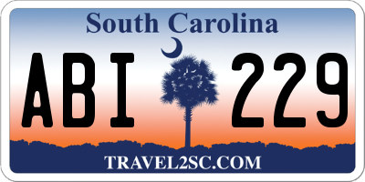 SC license plate ABI229