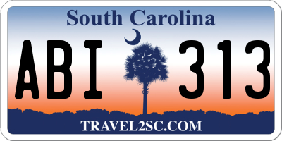 SC license plate ABI313