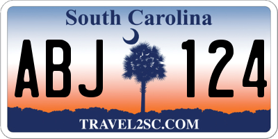 SC license plate ABJ124