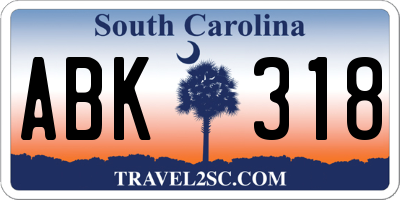 SC license plate ABK318