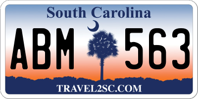 SC license plate ABM563