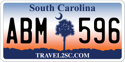 SC license plate ABM596