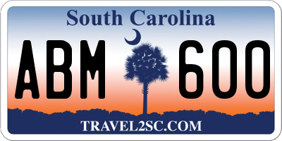 SC license plate ABM600