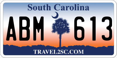 SC license plate ABM613