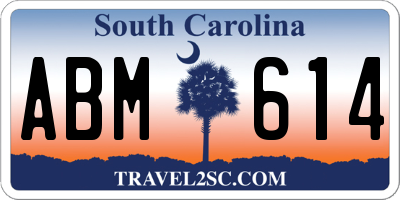 SC license plate ABM614