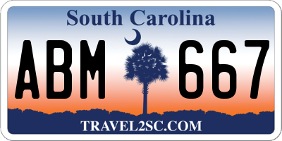 SC license plate ABM667