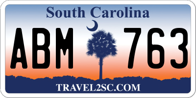 SC license plate ABM763