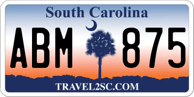 SC license plate ABM875