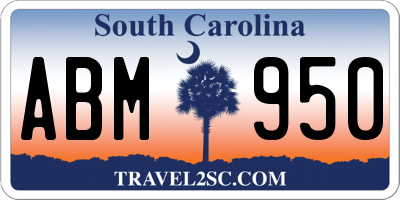 SC license plate ABM950