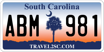 SC license plate ABM981