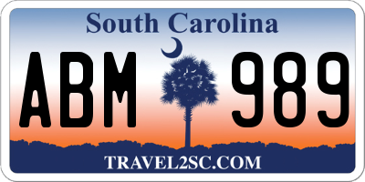 SC license plate ABM989