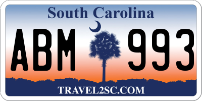 SC license plate ABM993