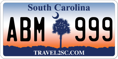 SC license plate ABM999