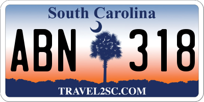 SC license plate ABN318