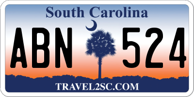 SC license plate ABN524