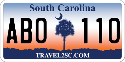 SC license plate ABO110