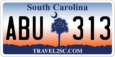 SC license plate ABU313