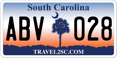 SC license plate ABV028
