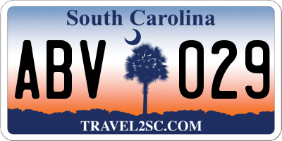 SC license plate ABV029