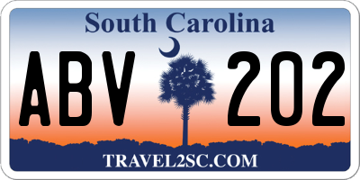 SC license plate ABV202