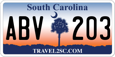 SC license plate ABV203