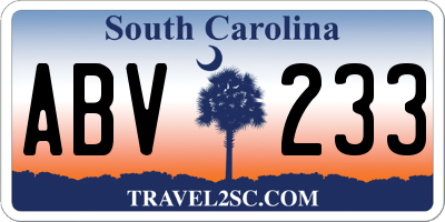 SC license plate ABV233