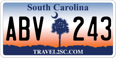 SC license plate ABV243