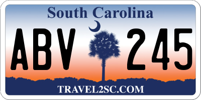 SC license plate ABV245
