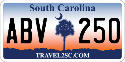 SC license plate ABV250
