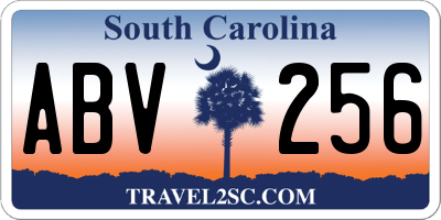 SC license plate ABV256