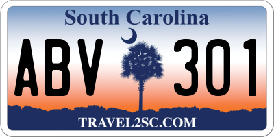 SC license plate ABV301