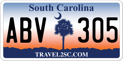 SC license plate ABV305