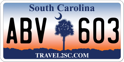 SC license plate ABV603